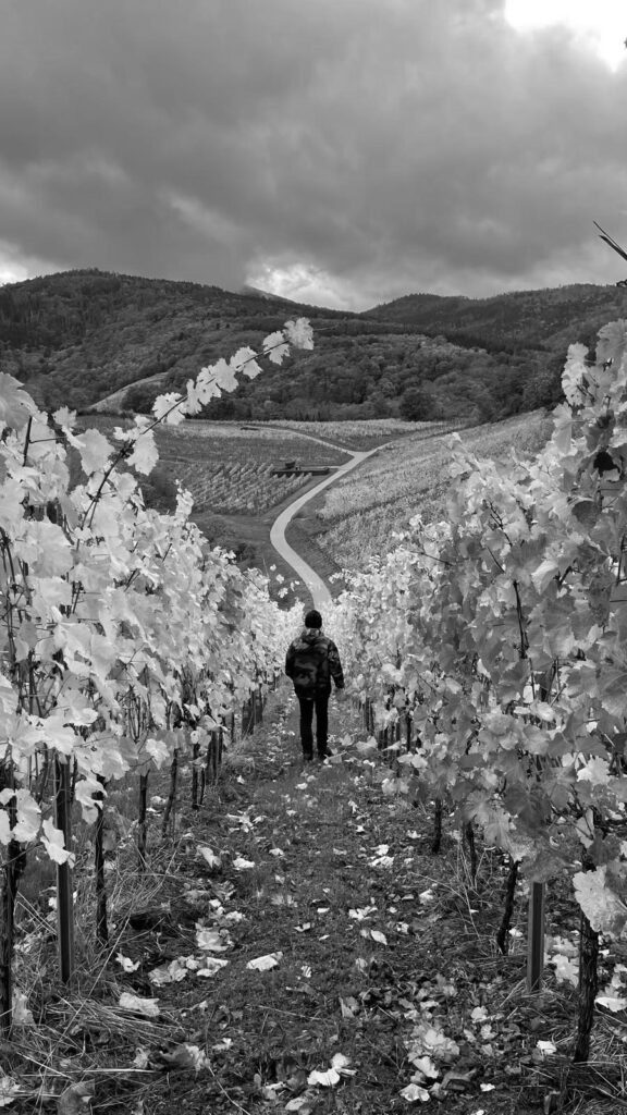 Photo de David Weber dans les vignes qui se dirigent vers une route.