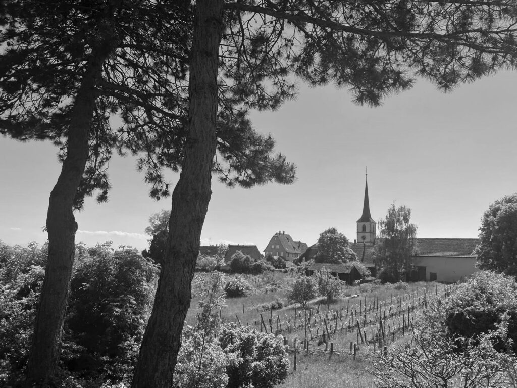 Photo du lieu de travail où David Weber accueille ses patients.